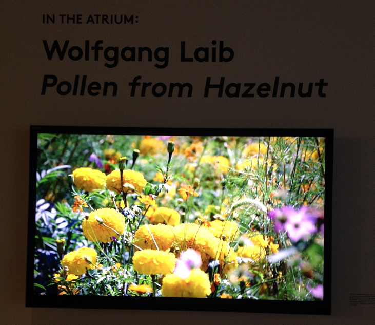 turns out to be a square of pollen laid down by Wolfgang Leib